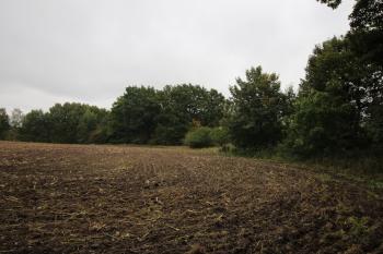 Pohled na opevnění ze západu. (© Luděk Vláčil 09/2017)