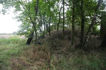  ( © Luděk Vláčil 09/2017)