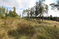 Velké Opatovice