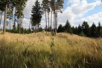 Velké Opatovice