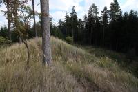 Velké Opatovice