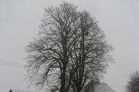 Vystrkov