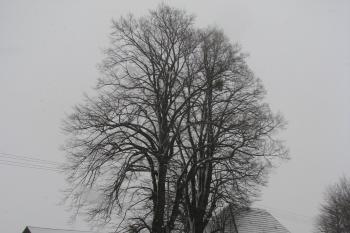 Vstupní brána se sýpkou z 18. století (© Pavel Lasztovicza, 01/2019)