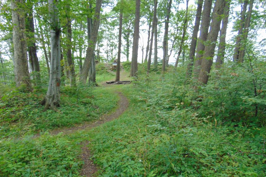 Edelštejn