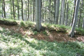 Obezdívka příkopu u brány (© Jan Laurýn, 07/2007)