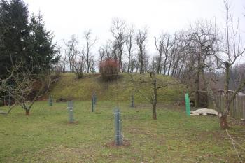 Tvrziště od západu (© Luděk Vláčil 01/2018)