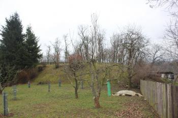 Tvrziště od západu (© Luděk Vláčil 01/2018)