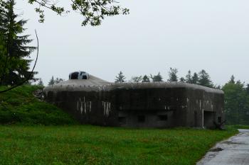  (© Alena Volná, 6/2010)