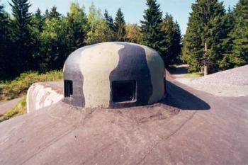  (© 2003 Luděk Vávra)