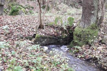 Bývalý lom pod kopcem. (© Prudký Martin, 11/2017)
