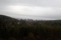Plasy