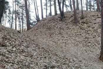  (© Pavel Zany Komárek  21. 3. 2003)