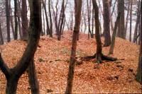 Hrad u Čtyřkol
