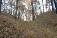 Hrad u Čtyřkol