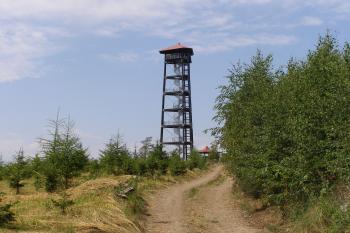  (© Jan Novotný, 07/2016)