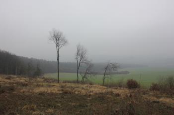  ( © Luděk Vláčil 01/2018)