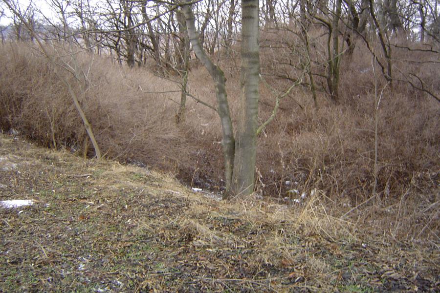Kozí hrady, Kozihrady