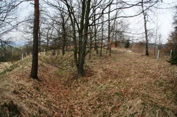 Plocha hradu s příkopem ( © Petr Nožička 03/2011)