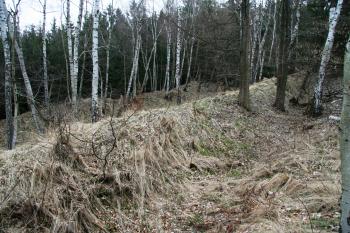 Příkop ( © Petr Nožička 03/2011)