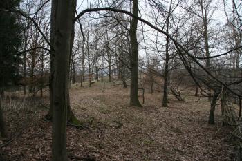Pohled na plochu hradu ( © Petr Nožička 03/2011)