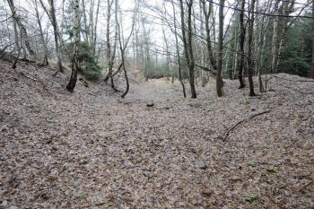 Příkop na SZ straně (© Jan Večeřa, 02/2016)