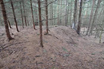 Plošinka nad předpokládaným přístupem do areálu na SZ (© Jan Večeřa, 02/2016)