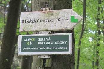  (© D Dohňanský, 07/2017)