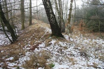 Linie záp. hradby od severu (© Dušan Dohňanský  02/2014)