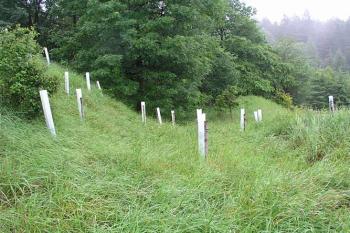 Zbytky příkopu na jihovýchodní straně ( © Roman Řezáč 06/2004)