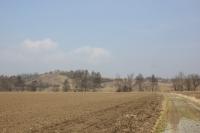 Prasklice
