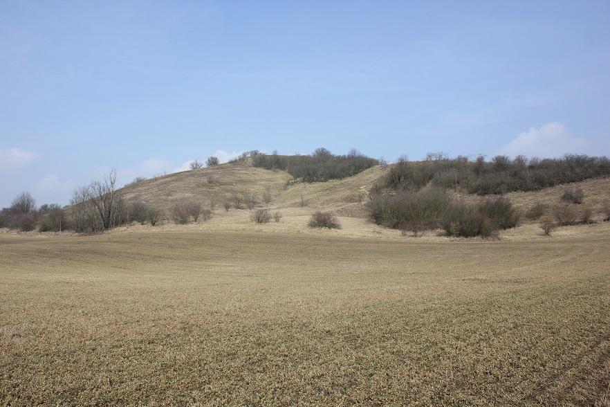 Prasklice