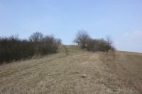 Prasklice