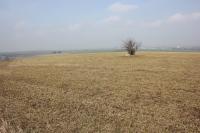 Prasklice