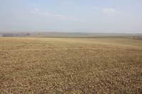 Prasklice