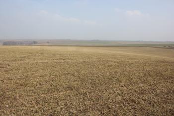 Plocha hradiska (© Luděk Vláčil 03/2018)