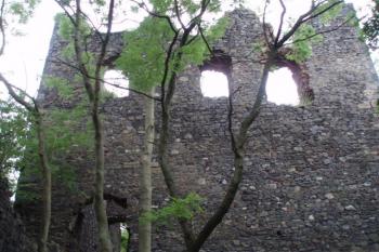  (© Gogol, 07/2008)