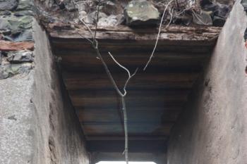Okno v jižní stěně paláce s dřevěným překladem ( © Ivan Grisa 10/2009)