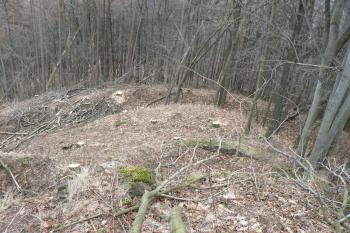 Zadní, východní část hradu (© Prudký Martin, 12/2008)