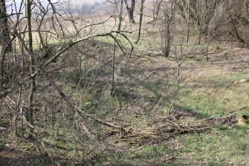 terénní nerovnosti suti s patrným průběhem zdí (© Luděk Vláčil 03/2018)