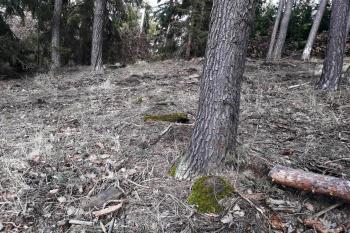  (© Prudký Martin, 04/2018)