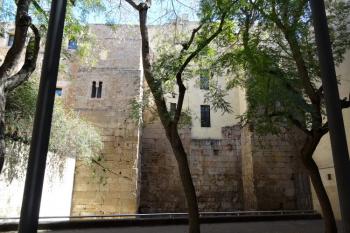 část hradeb v severozápadním úseku ( © Jan P. Štěpánek 04/2018)