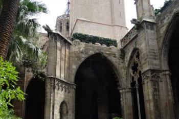 nádvoří kláštera s hejnem hus ( © Jan P. Štěpánek 04/2018)