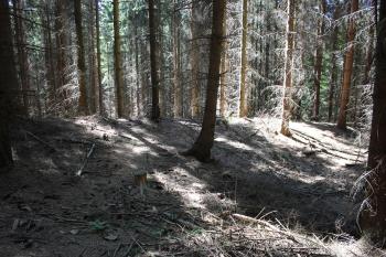 Jižní val (© Luděk Vláčil 05/2018)