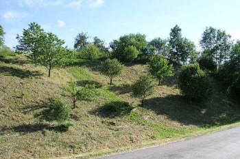 Pohled ze silnice ( © Roman Řezáč 06/2004)