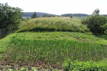 Pohled od východní přístupové strany ( © Roman Řezáč 06/2004)