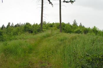 Celkový pohled na zarostlý kopec ( © Roman Řezáč 06/2004)
