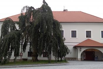 památný strom (© Luděk Vláčil 06/2018)