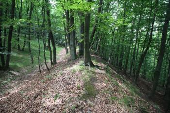 Mohutný severozápadní val (© Luděk Vláčil 06/2018)