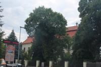 Bošany