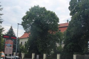 Barokně-klasicistní (kaštieľ) (© Luděk Vláčil 06/2018)